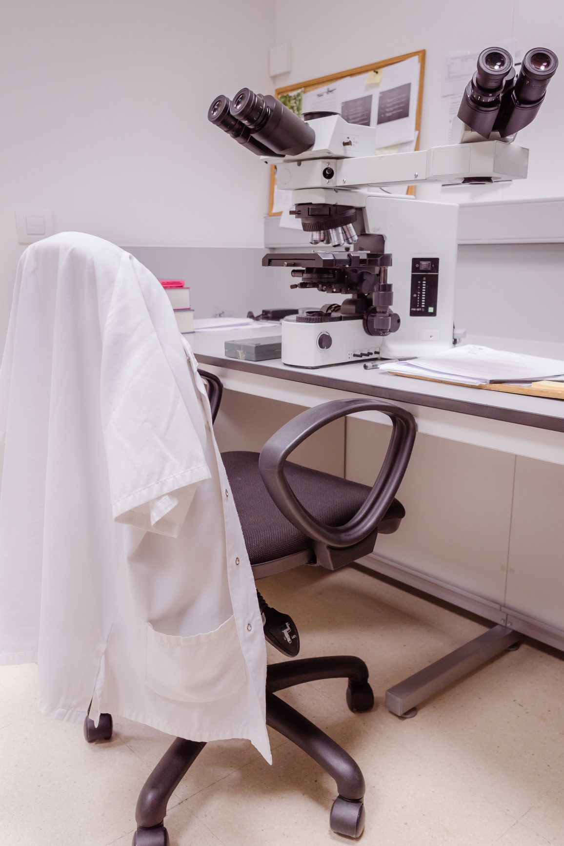 pathological anatomy